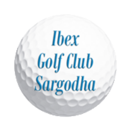 Logo 12